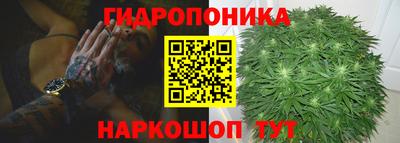 винт Обь