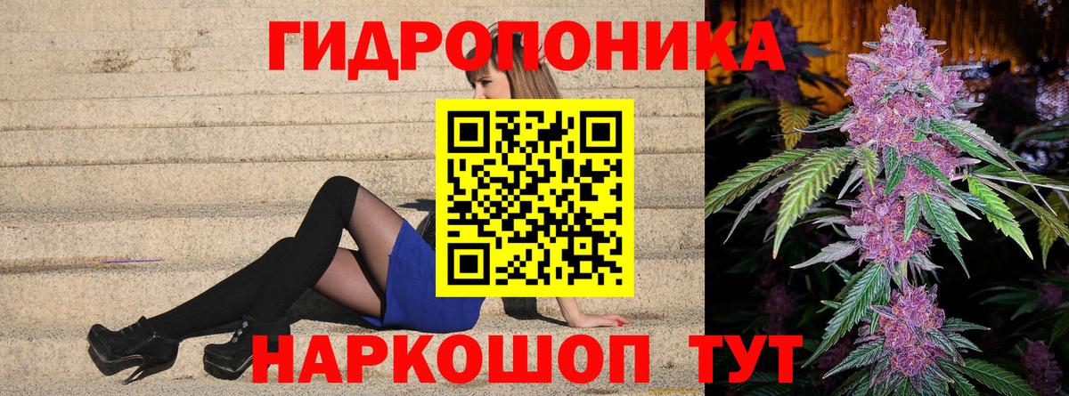 Каннабис SATIVA & INDICA  Конопля ГИДРОПОН  Конопля сатива  Чистополь  Вход с VPN 